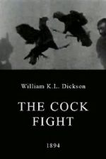 Watch The Cock Fight 123MoviesFree