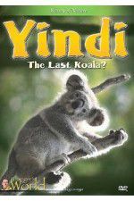 Watch Yindi the Last Koala 123MoviesFree