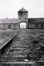 Watch AUSCHWITZ: FRENZIED KILLING 123MoviesFree