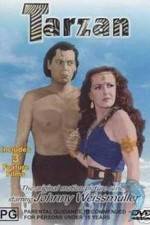 Watch Tarzan's Desert Mystery 123MoviesFree