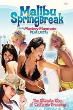 Watch Malibu Spring Break 123MoviesFree