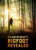 Watch A Flash of Beauty: Bigfoot Revealed 123MoviesFree