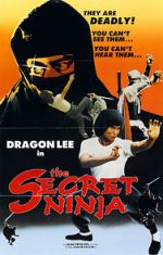 Watch Secret Ninja 123MoviesFree