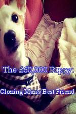 Watch The �60,000 Puppy: Cloning Man's Best Friend 123MoviesFree