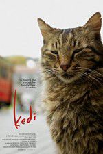 Watch Kedi 123MoviesFree