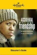 Watch Accidental Friendship 123MoviesFree