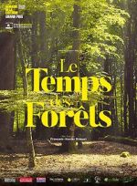 Watch The Time of Forests 123MoviesFree