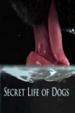 Watch Secret Life of Dog 123MoviesFree