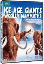Watch Woolly Mammoth: Secrets from the Ice 123MoviesFree