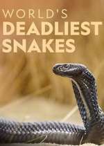 Watch World's Deadliest Snakes 123MoviesFree