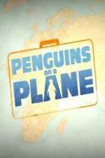 Watch Penguins on a Plane 123MoviesFree