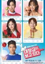 Watch Dae Jang Geum Is Watching 123MoviesFree
