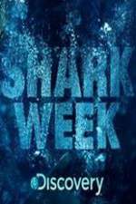 Watch Shark Week 123MoviesFree