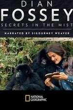 Watch Dian Fossey: Secrets in the Mist 123MoviesFree