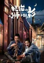 Watch The Lion's Secret 123MoviesFree
