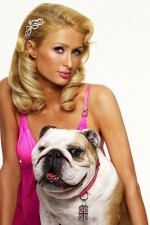 Watch Paris Hilton's British Best Friend 123MoviesFree
