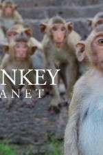 Watch Monkey Planet 123MoviesFree