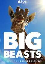 Watch Big Beasts 123MoviesFree