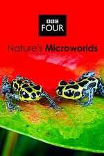 Watch Natures Microworlds 123MoviesFree