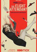 Watch The Flight Attendant 123MoviesFree
