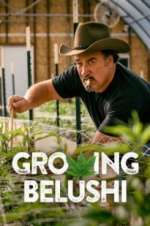 Watch Growing Belushi 123MoviesFree