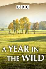 Watch A Year in the Wild 123MoviesFree