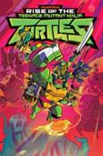 Watch Rise of the Teenage Mutant Ninja Turtles 123MoviesFree