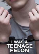 Watch I Was a Teenage Felon 123MoviesFree