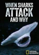 Watch When Sharks Attack... And Why 123MoviesFree
