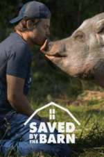 Watch Saved by the Barn 123MoviesFree