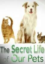 Watch The Secret Life of Our Pets 123MoviesFree