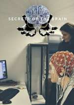 Watch Secrets of the Brain 123MoviesFree