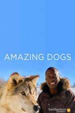 Watch Amazing Dogs 123MoviesFree