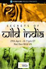 Watch Secrets of Wild India 123MoviesFree