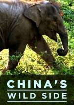 Watch China's Wild Side 123MoviesFree
