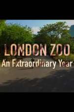 Watch London Zoo: An Extraordinary Year 123MoviesFree
