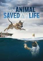 Watch An Animal Saved My Life 123MoviesFree
