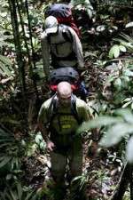 Watch Walking The Amazon 123MoviesFree