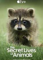 Watch The Secret Lives of Animals 123MoviesFree