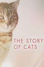 Watch The Story of Cats 123MoviesFree