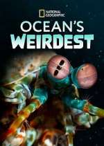 Watch Ocean's Weirdest 123MoviesFree
