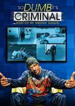 Watch So Dumb It's Criminal 123MoviesFree