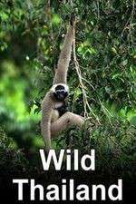 Watch Wild Thailand 123MoviesFree