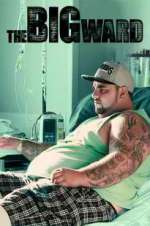 Watch The Big Ward 123MoviesFree
