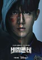 Watch Vigilante 123MoviesFree