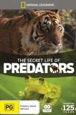 Watch Secret Life of Predators 123MoviesFree