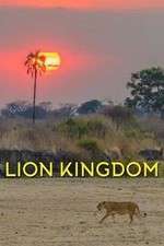 Watch Lion Kingdom 123MoviesFree
