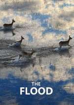 Watch The Flood 123MoviesFree