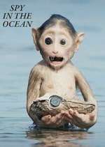 Watch Spy in the Ocean 123MoviesFree
