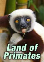 Watch Land of Primates 123MoviesFree